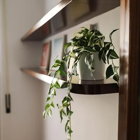 Aura Rent Of With Shared Kitchen 3*