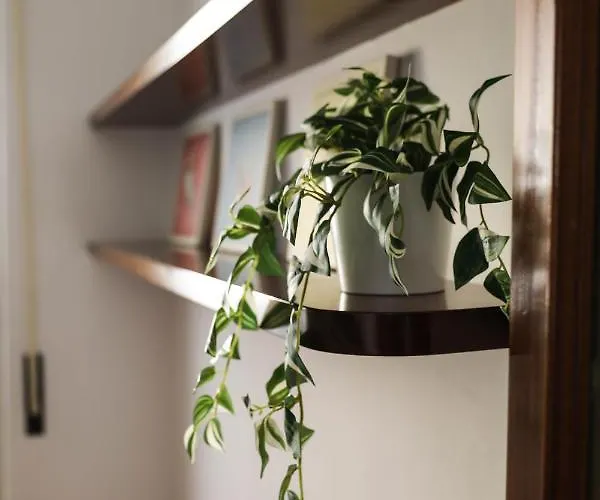 Aura Rent Of With Shared Kitchen 3*